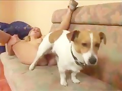 Mulher rabuda safada dando a buceta de 4 pro Rottweiler