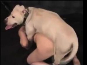Cachorro comendo a xota da vizinha casada que curte zoofilia
