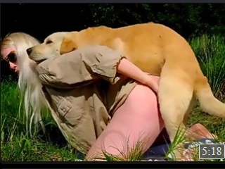 Cachorro pastor alemão transando com novinha gostosa