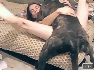 Cão de raça comendo dona novinha gostosa apaixonada por pet