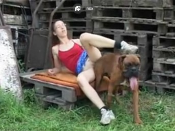 Garota trepando gostoso com o cachorro no quintal dos fundos