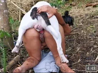 Mulher casada fazendo sexo com cachorro do marido escondido