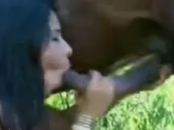 Mulher fazendo sexo oral em um cavalo na fazenda