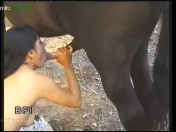 Safada Trepando com Cavalo de Raça na Fazenda